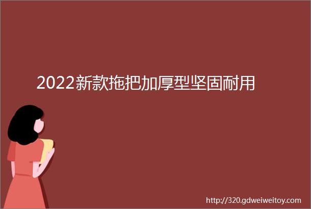 2022新款拖把加厚型坚固耐用